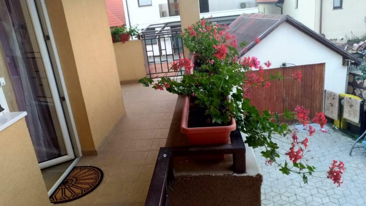 Hotel Sibiu 33 Zewnętrze zdjęcie